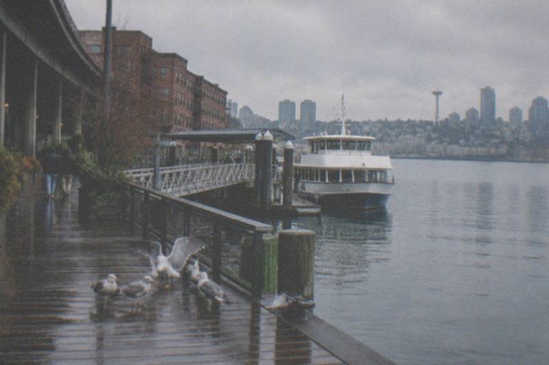 Tour boat nosing into the lock while gulls wheel overhead; the Seattle Locks Cruise by Argosy Cruises spends about two hours on the water, is rated 4.8 across 452 reviews and lists from $63.28 per person.