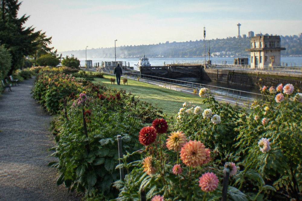 Flower beds and lawns of the botanical garden beside the Ballard Locks