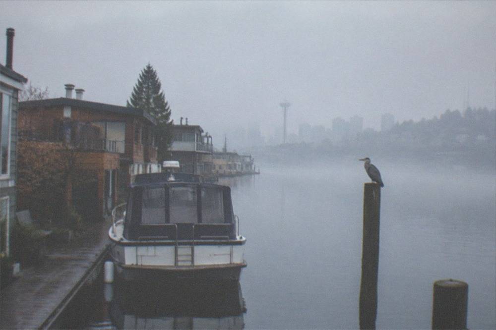 A small private charter boat moored at a Lake Union dock beside floating homes
