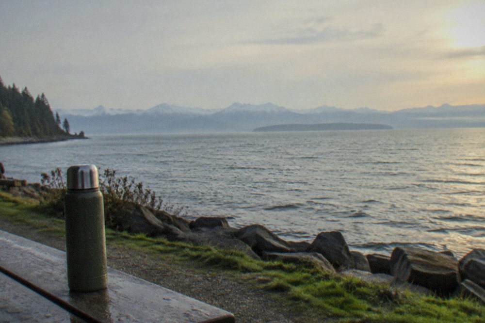 Open water of Puget Sound with distant snow-capped mountains on the horizon