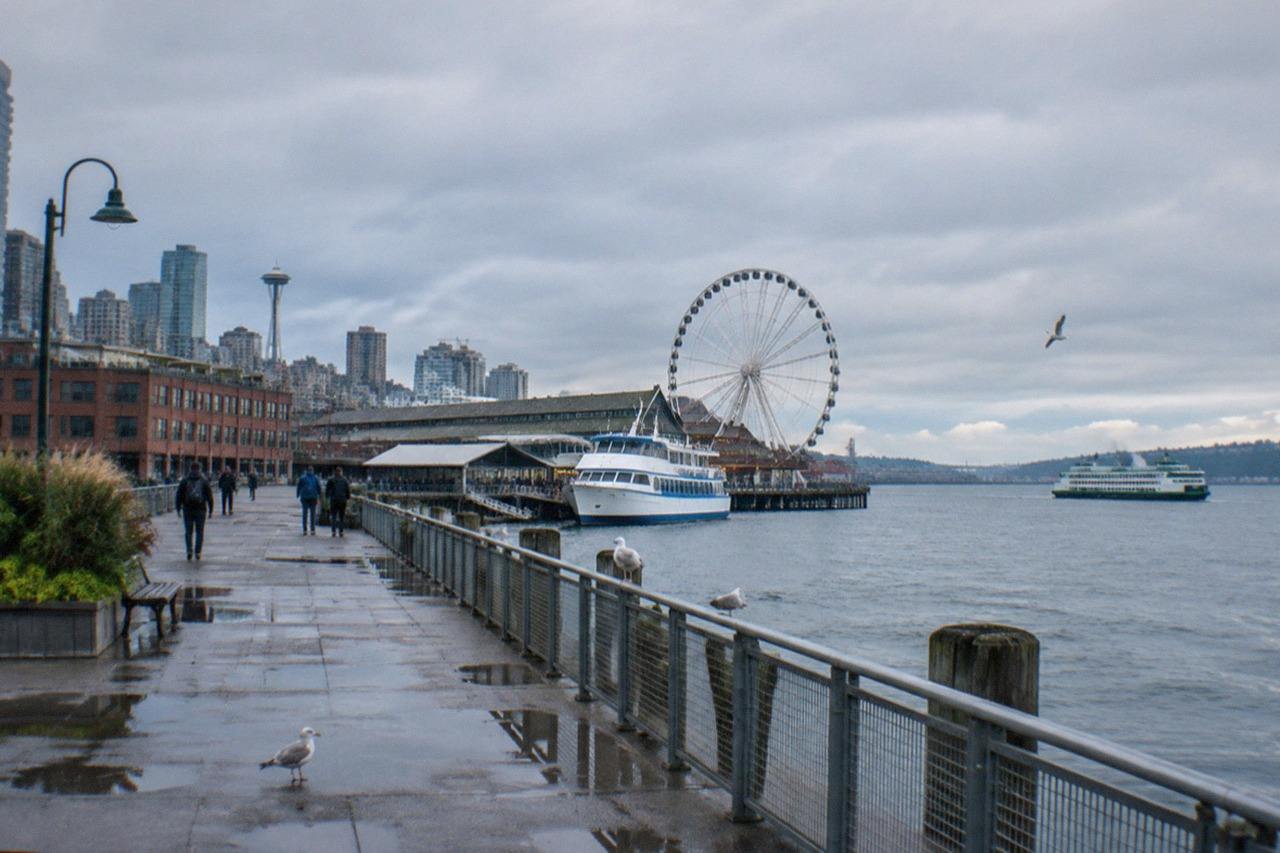 Harbor cruise boat off the downtown Seattle waterfront, skyline across the water; the harbor-cruise hub compares two one-hour Argosy Cruises trips from $43 per person, rated 4.7 and 4.8 across 2252 and 729 reviews.